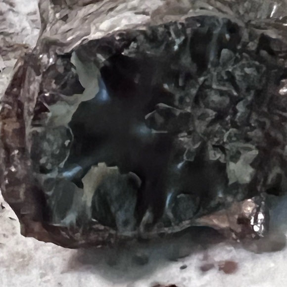 Ammonite, fossil, craft fossil, natural ammonite fossil, ammonite specimen. - Picture 6 of 9